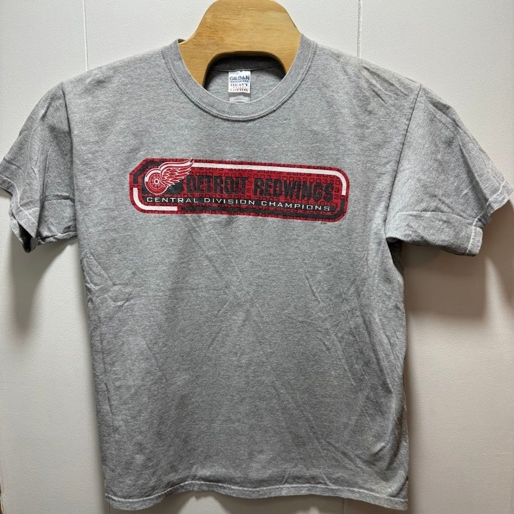 Detroit Red Wings Mens Gildan Heavy Cotton T Shirt Gray Size Large Vtg Y2K - Picture 1 of 4